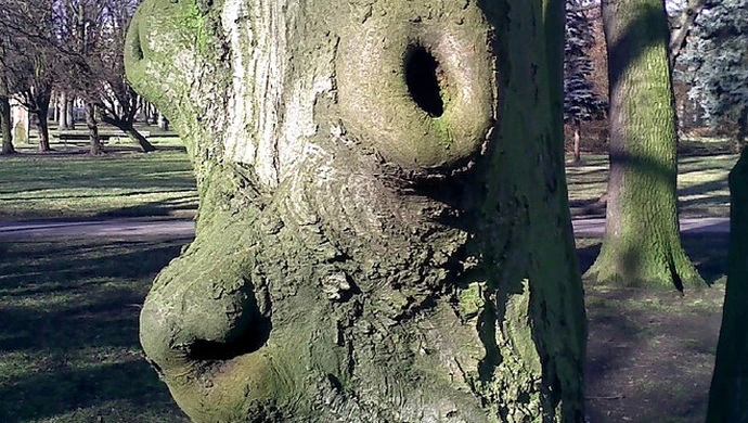 Tolkienowski stwór w piotrkowskim parku?