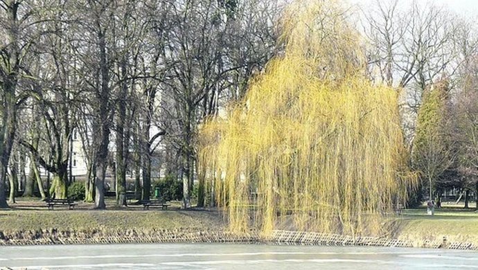 Zima już do nas nie wróci?