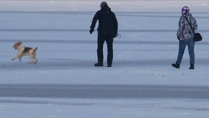 Spacerował po lodzie - uratowali go strażacy