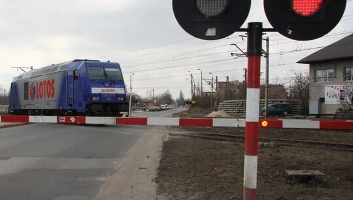 Tory wyremontują, wiaty na razie nie