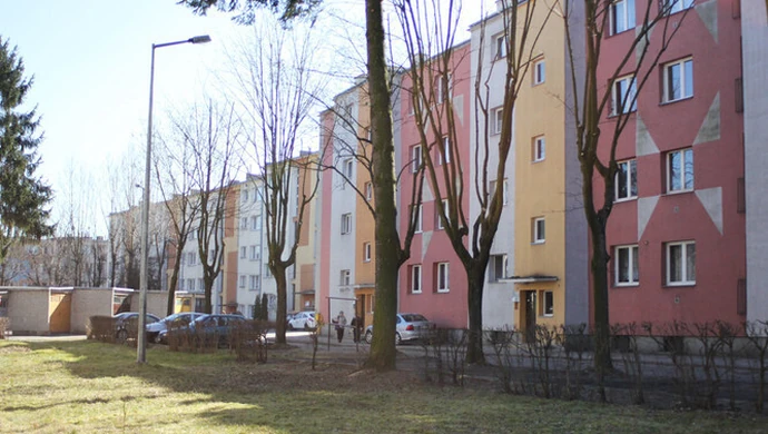 Drzewka owocowe kością niezgody na osiedlu Jagiellońska