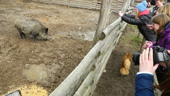 Norwegowie zwiedzali okoliczne gospodarstwa