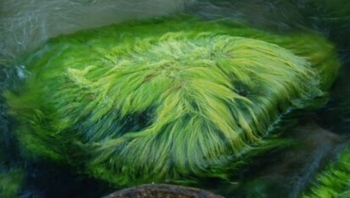 Innowacyjna tkanina z Piotrkowa trafi do sprzedaży