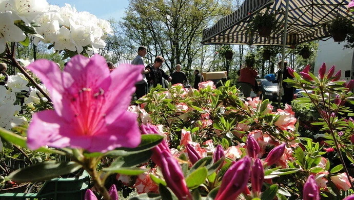 Już w niedzielę targi ogrodnicze 