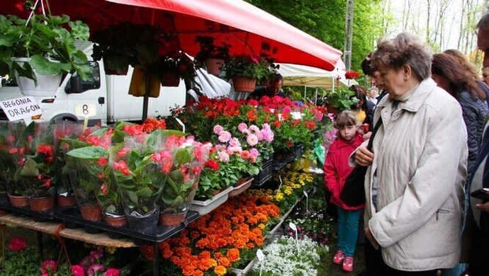 Piotrkowskie Targi Ogrodnicze przyciągnęły tłumy