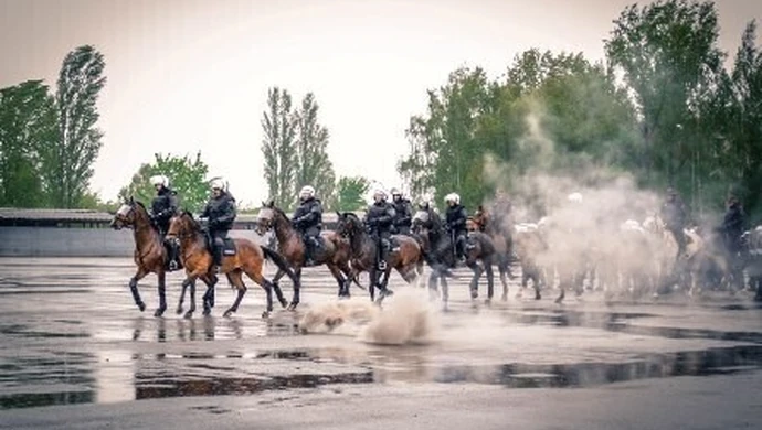 7 rumaków z Tomaszowa z nowym atestem