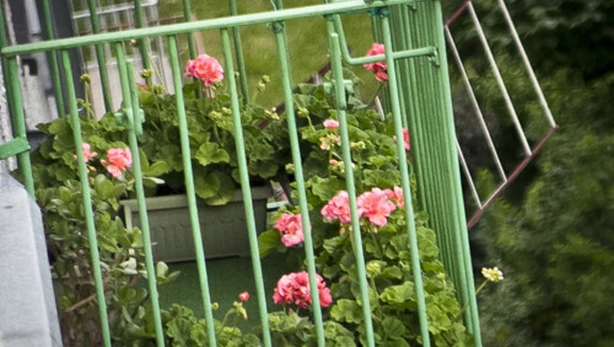 Konkurs na najładniej ukwiecony balkon!