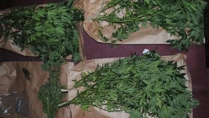 Prawie 0,5 kilograma marihuany ukryte w pomidorach