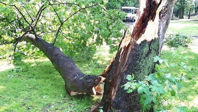 Zakaz wstępu do lasu!
