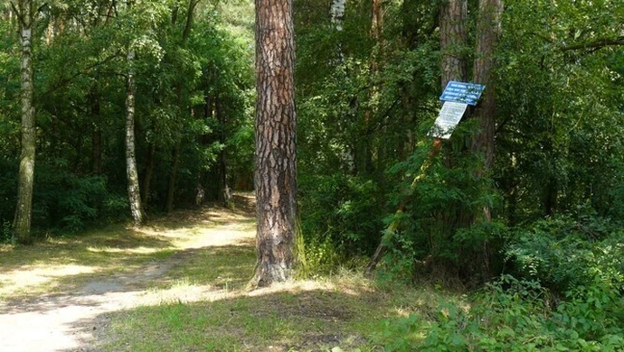 Porządkują Polankę w Sulejowie 