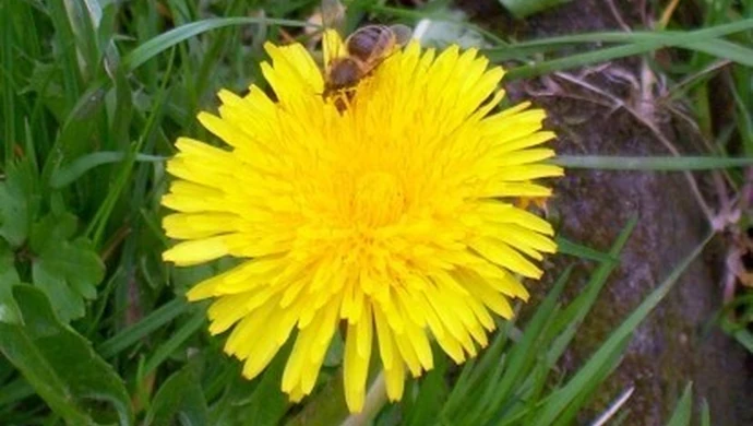 Strażacy interweniowali już ponad 140 razy