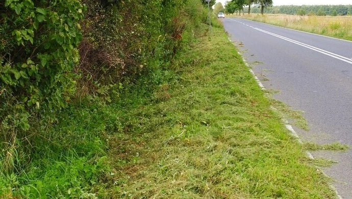 Mieszkańcy wzięli sprawy w swoje ręce