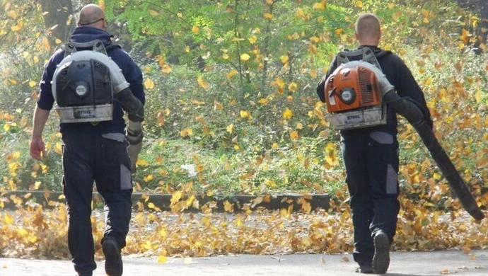 Czas zacząć Akcję Liść! 