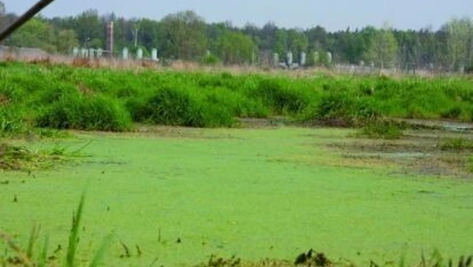 Najlepsze agrokurorty i zwycięzcy &#8222;Przyjaznej Wsi&#8221;