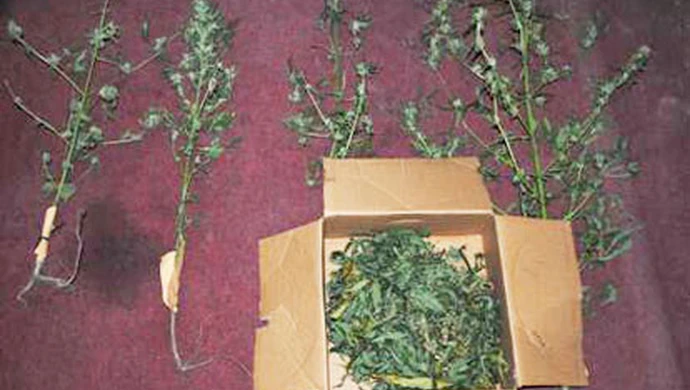 Narkotyki w centrum Piotrkowa, zatrzymany 41-latek