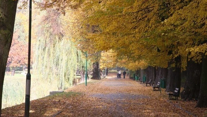 Rewitalizacja parku – początek jeszcze w tym roku 