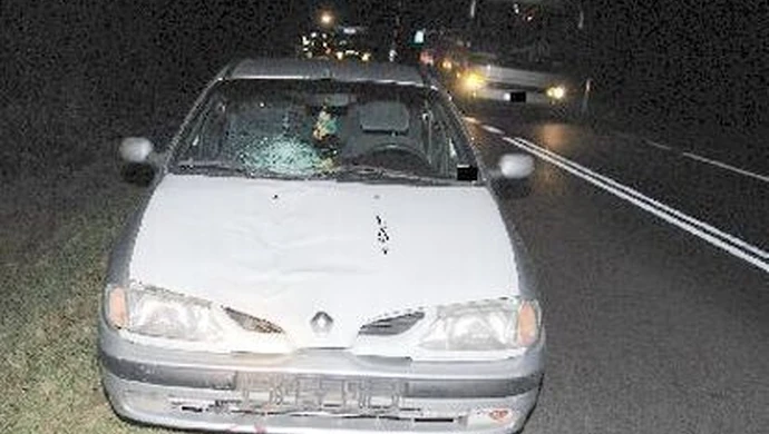 Piesza zginęła w wypadku