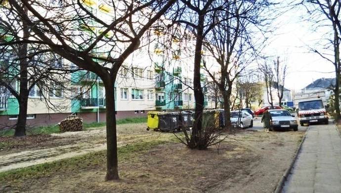 Drzewa znikają jedno po drugim 