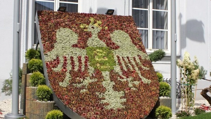 Dziś wybiorą starostę 