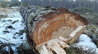 Ruszyły przygotowania do budowy obwodnicy Bełchatowa