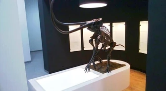 Giganty Mocy &#8211; otwarcie już niebawem