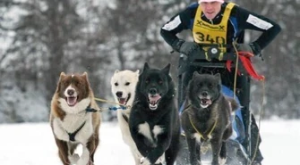 Obronił tytuł mistrza świata