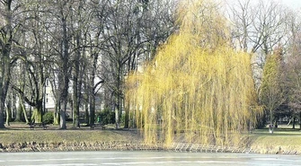 Zima już do nas nie wróci?