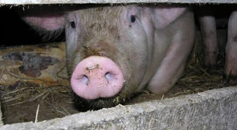 Rolnicy będą protestować 