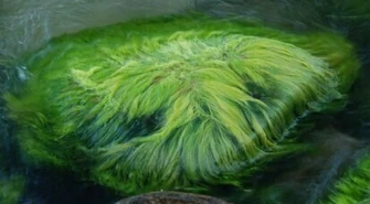 Innowacyjna tkanina z Piotrkowa trafi do sprzedaży