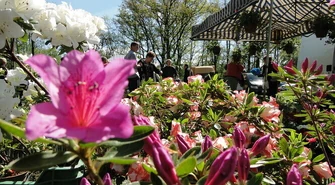 Już w niedzielę targi ogrodnicze 