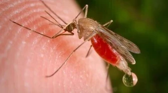 Ko(sz)mar się zaczął