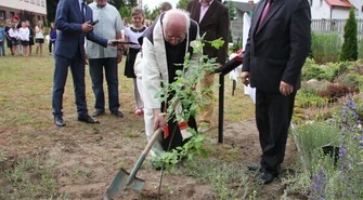 Przy podstawówce w Sulejowie rośnie już potomek Dębu &#8222;Cysters&#8221;