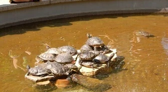 Podziwiali bogaty świat flory i fauny