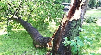 Zakaz wstępu do lasu!