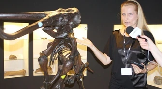 W wakacje odwiedź Giganty Mocy!