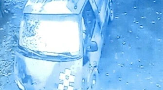 Wyrzucił szczeniaczki z jadącego samochodu