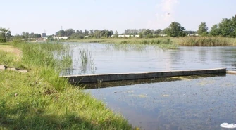 Władze miasta nie pomogły zagospodarować terenów przy Bugaju?