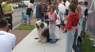 Wspólnie pomalowali budynek TPS-u