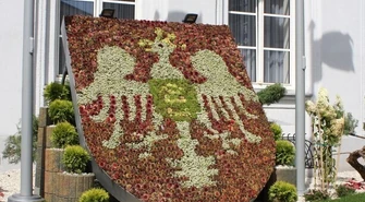 Dziś wybiorą starostę 