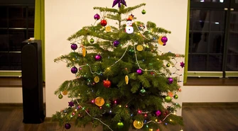 Kiedy przywędrowała do nas tradycja ubierania choinki?