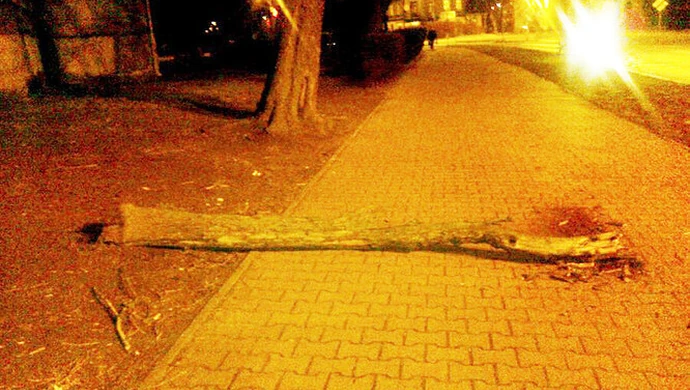 Stan zieleni wymaga interwencji?