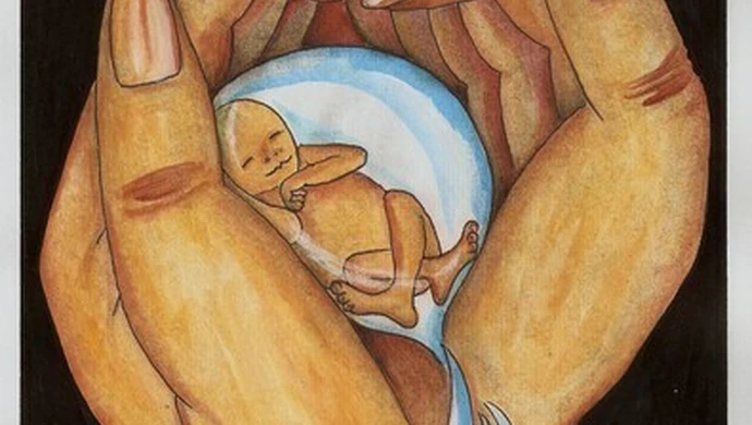 Nasz rysownik doceniony na świecie