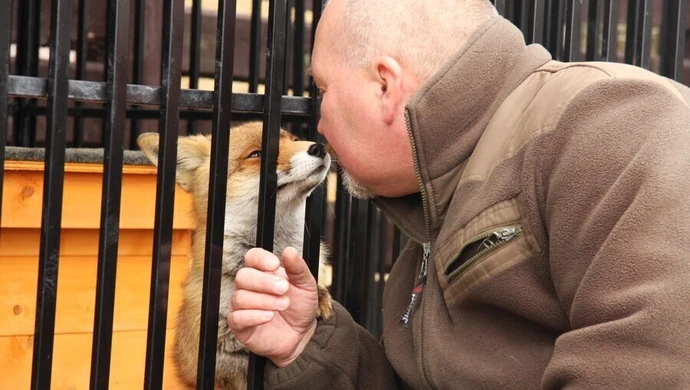 Ratują jeże, dziki, bociany... Wkrótce rozbudują Osadę w Kole
