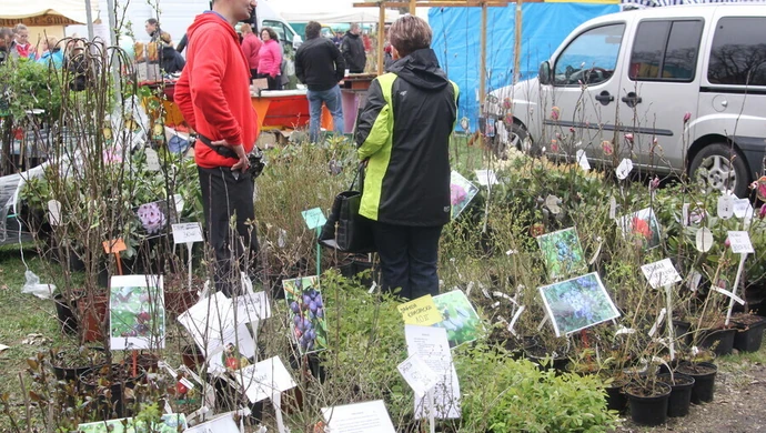 X Piotrkowskie Targi Ogrodnicze "Pamiętajmy o ogrodach"