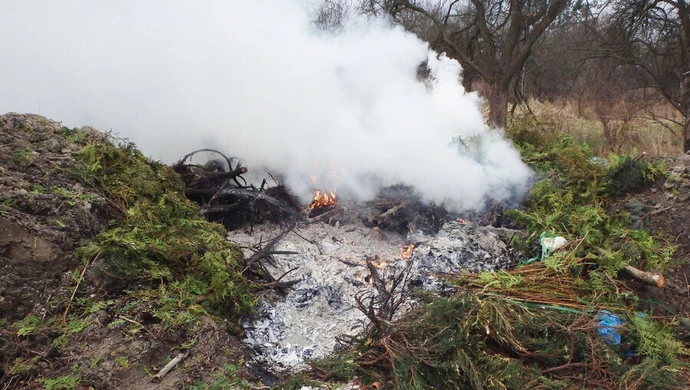 Za wiosenne porządki możesz zapłacić mandat