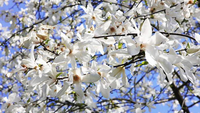 Sobota i niedziela będą znakomite. Potem ochłodzenie