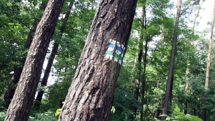 Na wiosenny marsz zapraszają harcerze i PTTK