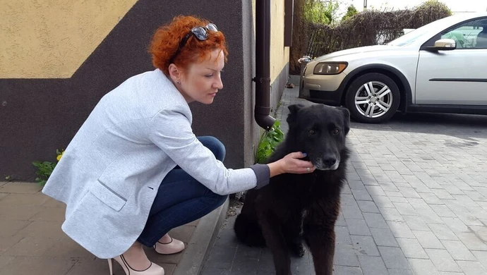 Jego właściciele nie żyją, on wciąż czeka 