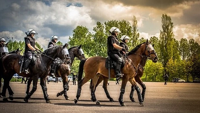 Czego nie boi się policyjny.... koń?