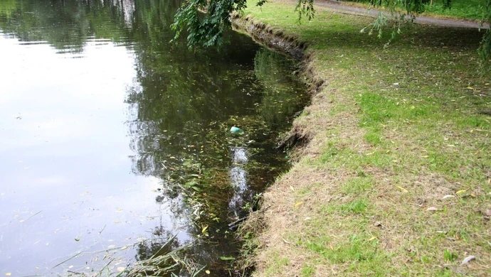 Masz stare zdjęcia parku? Zanieś je do Urzędu! 